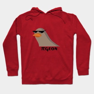 πgeon Hoodie